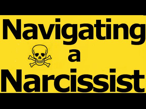 Navigating a Narcissist