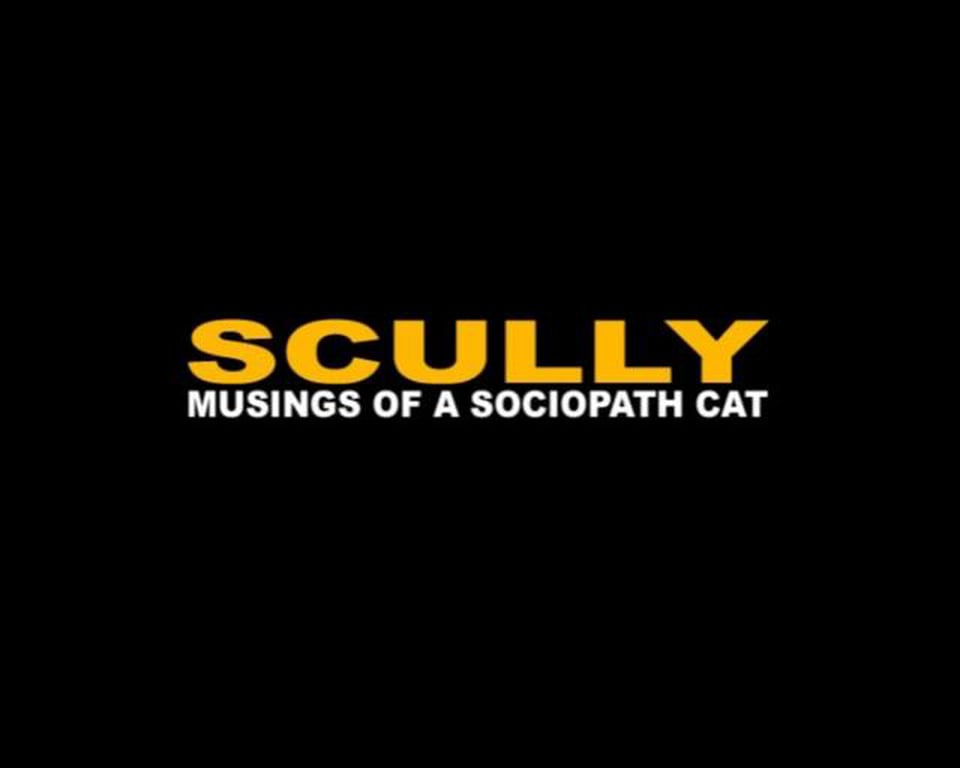 MUSINGS OF A SOCIOPATH CAT